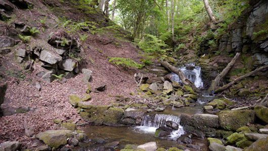 P1000078
